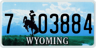 WY license plate 703884