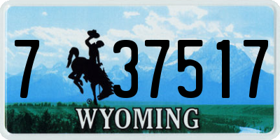 WY license plate 737517