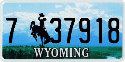 WY license plate 737918