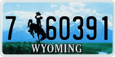 WY license plate 760391