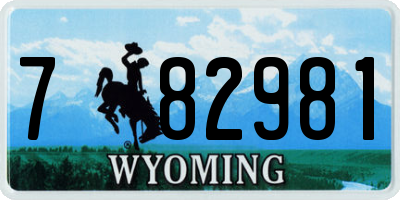 WY license plate 782981