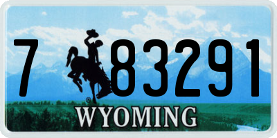 WY license plate 783291