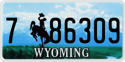 WY license plate 786309