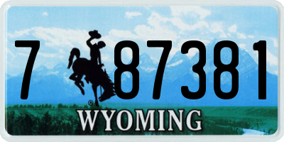 WY license plate 787381