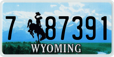 WY license plate 787391