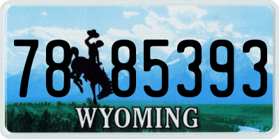 WY license plate 7885393