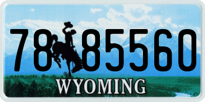 WY license plate 7885560