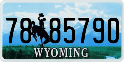 WY license plate 7885790