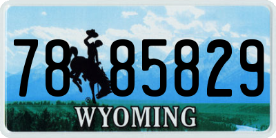 WY license plate 7885829