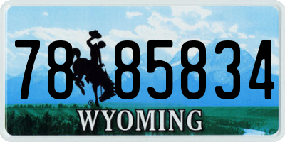 WY license plate 7885834