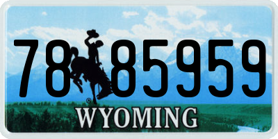 WY license plate 7885959
