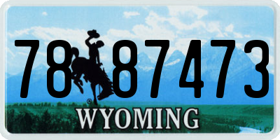 WY license plate 7887473