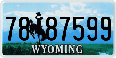 WY license plate 7887599