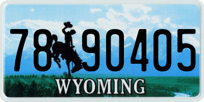 WY license plate 7890405