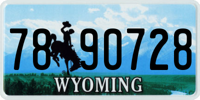 WY license plate 7890728
