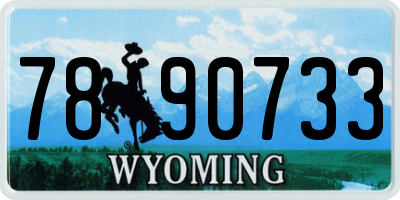 WY license plate 7890733