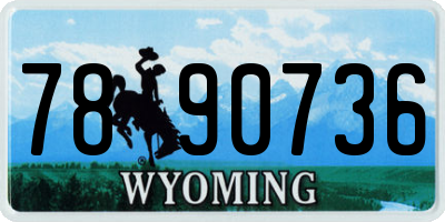 WY license plate 7890736