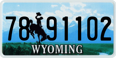 WY license plate 7891102