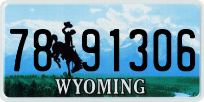 WY license plate 7891306