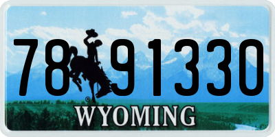 WY license plate 7891330