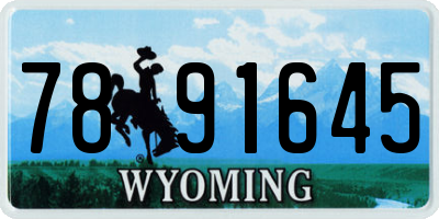 WY license plate 7891645