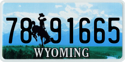 WY license plate 7891665