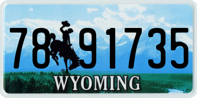 WY license plate 7891735