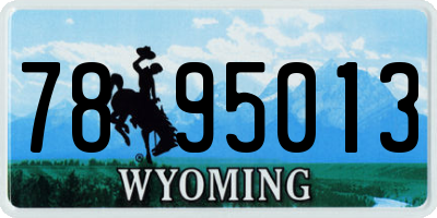 WY license plate 7895013
