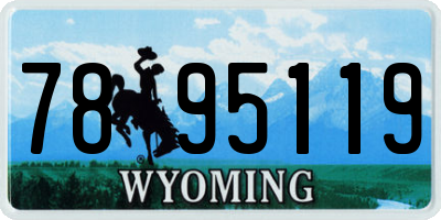 WY license plate 7895119