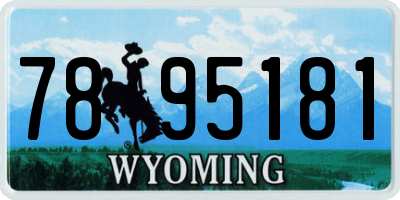 WY license plate 7895181