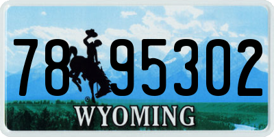 WY license plate 7895302