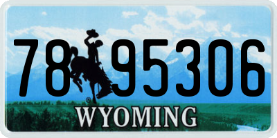 WY license plate 7895306