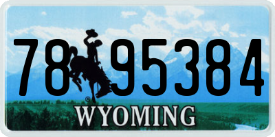 WY license plate 7895384