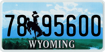 WY license plate 7895600