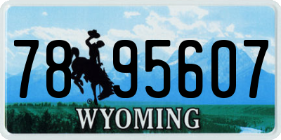 WY license plate 7895607