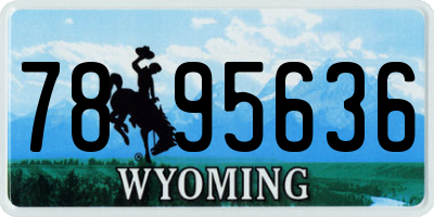 WY license plate 7895636