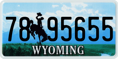 WY license plate 7895655