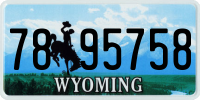 WY license plate 7895758