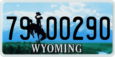 WY license plate 7900290