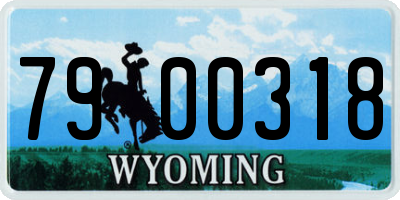 WY license plate 7900318