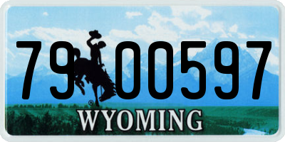 WY license plate 7900597