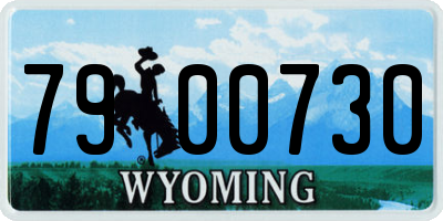 WY license plate 7900730