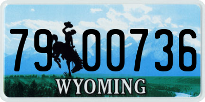 WY license plate 7900736