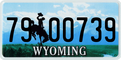 WY license plate 7900739