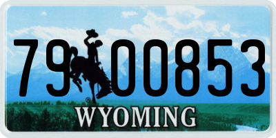 WY license plate 7900853
