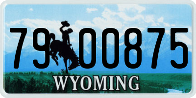 WY license plate 7900875