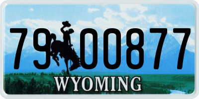 WY license plate 7900877