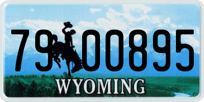 WY license plate 7900895
