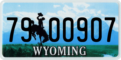 WY license plate 7900907