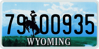 WY license plate 7900935